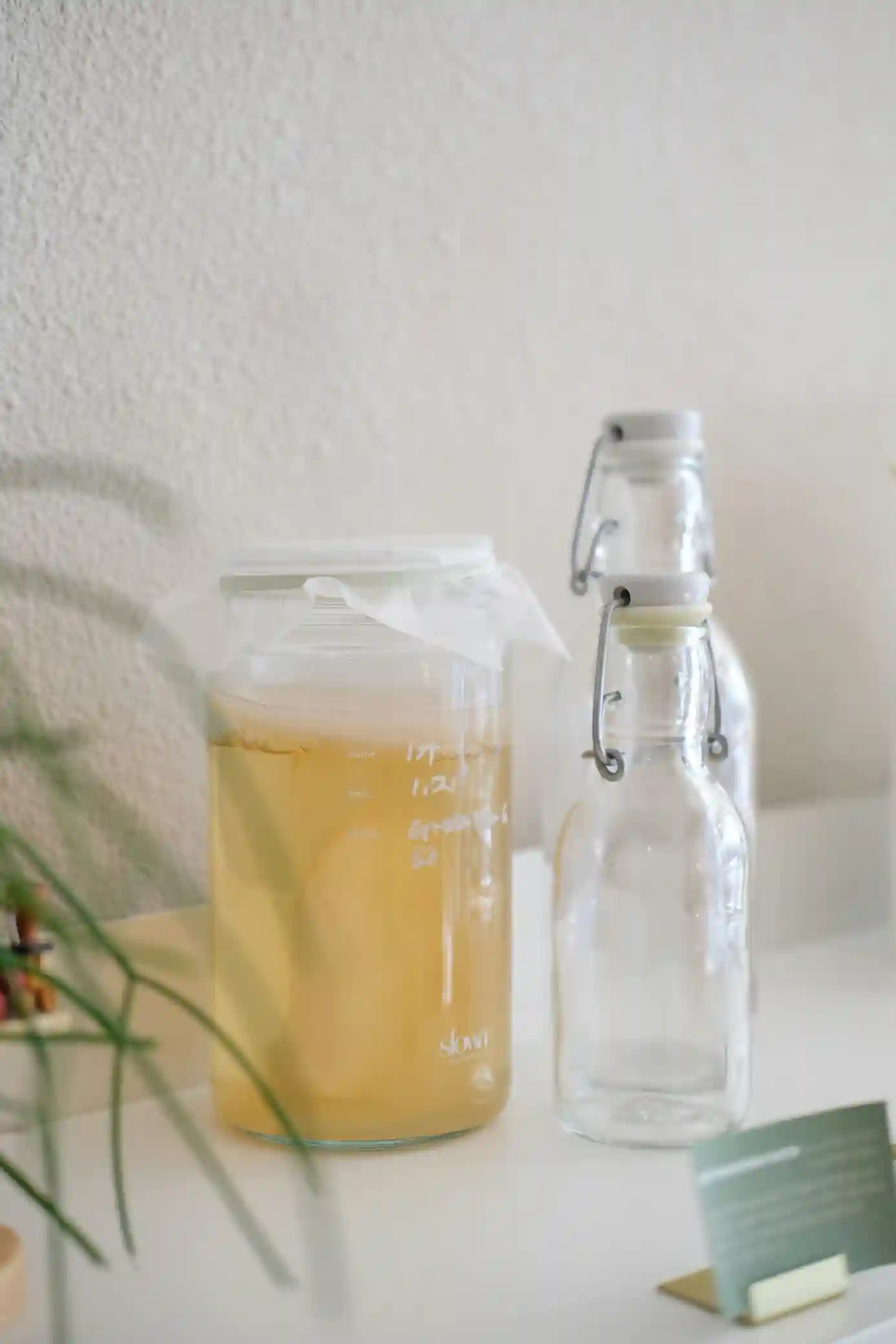 Fermented beverages like kombucha and kefir