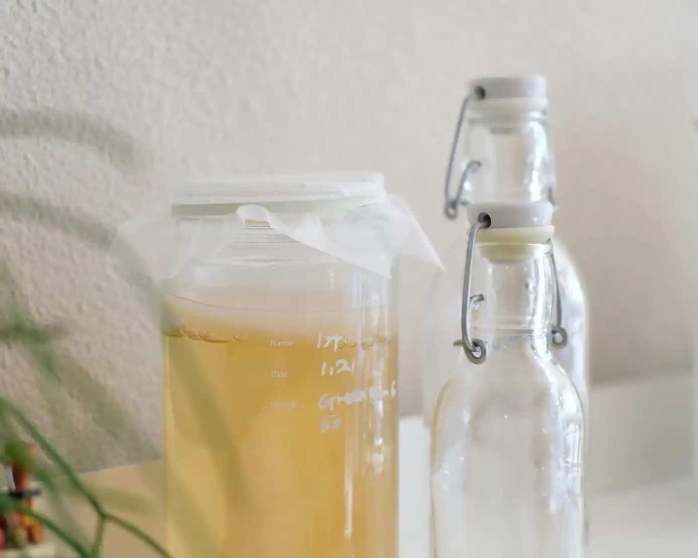 Fermented beverages like kombucha and kefir
